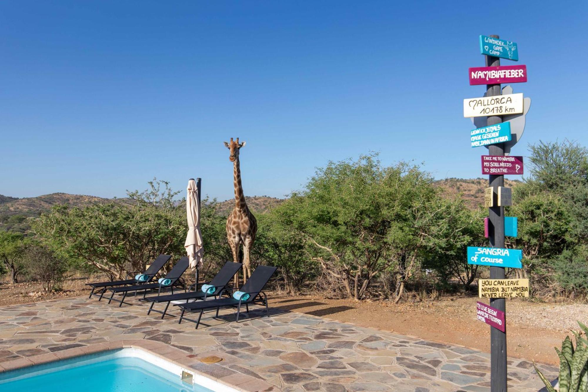 Windhoek Game Camp Lafrenz Township Bagian luar foto