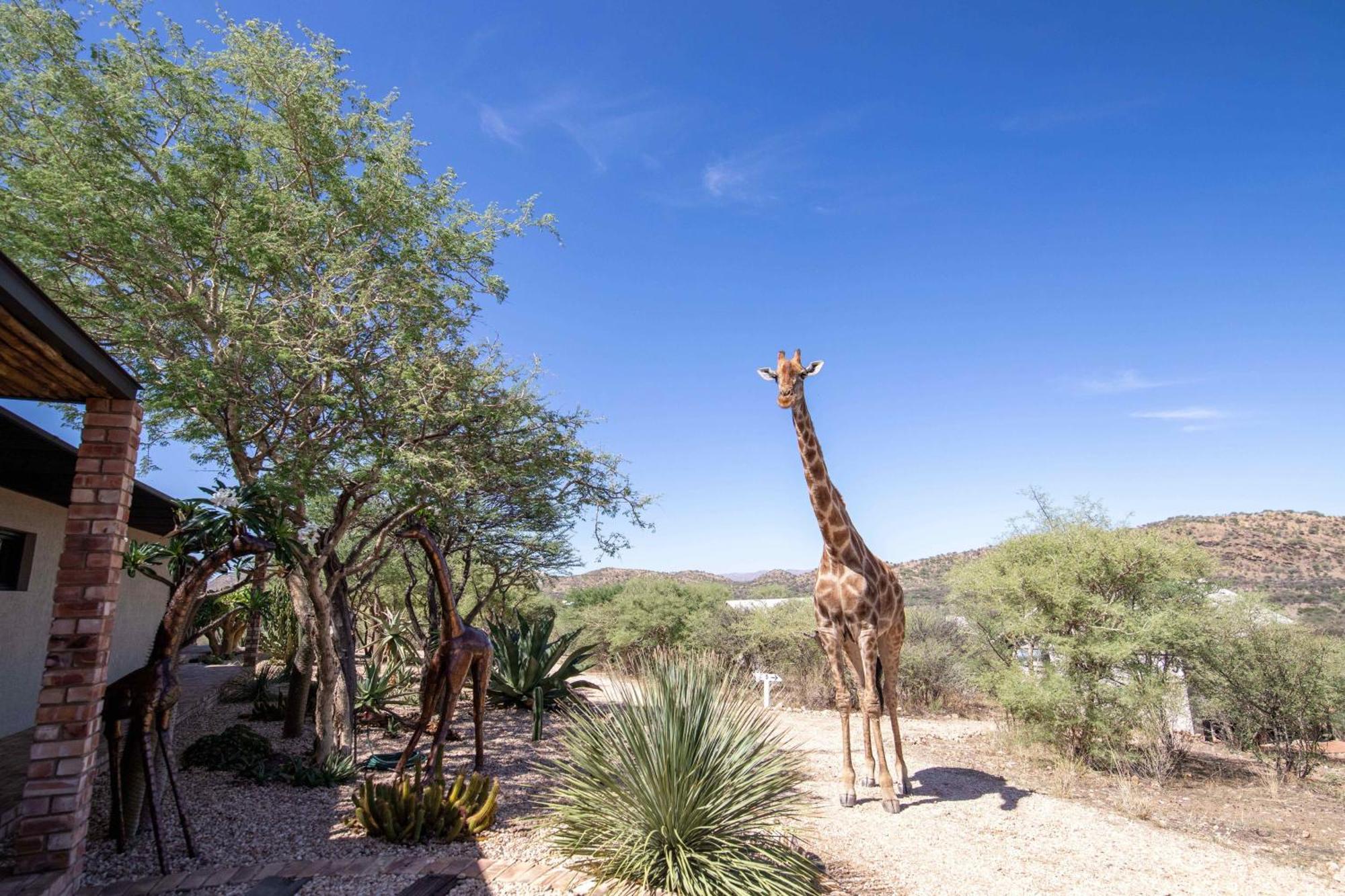 Windhoek Game Camp Lafrenz Township Bagian luar foto