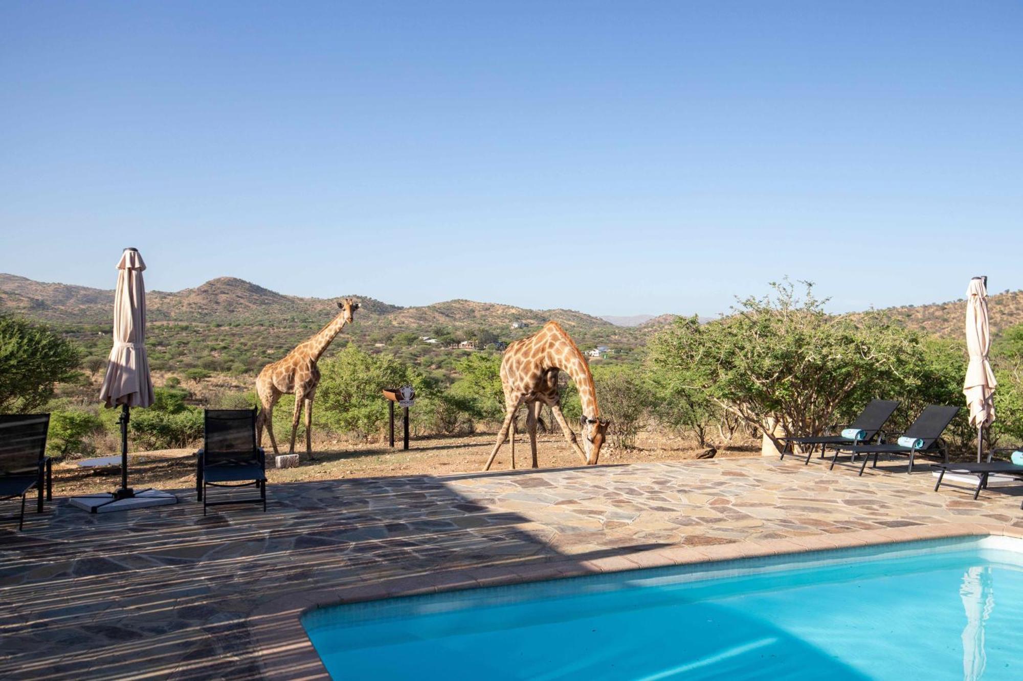Windhoek Game Camp Lafrenz Township Bagian luar foto
