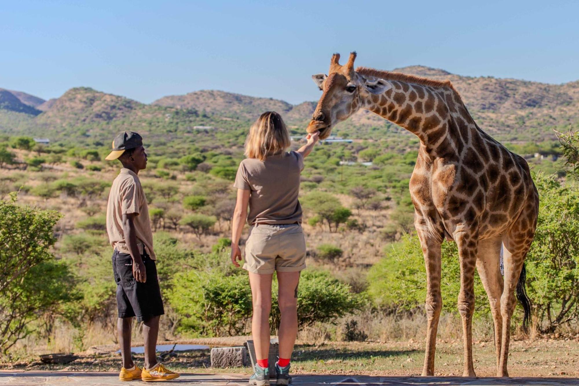 Windhoek Game Camp Lafrenz Township Bagian luar foto