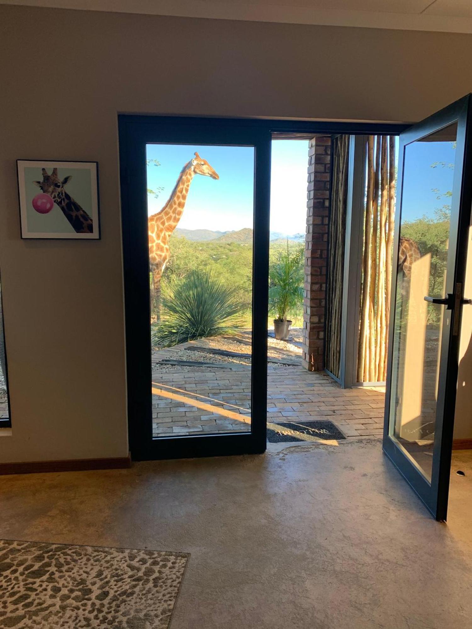 Windhoek Game Camp Lafrenz Township Bagian luar foto