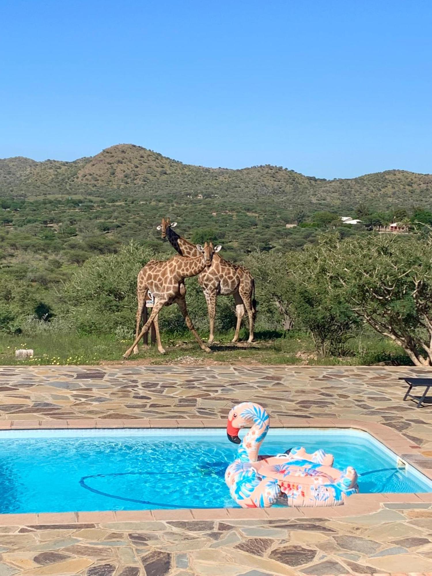 Windhoek Game Camp Lafrenz Township Bagian luar foto