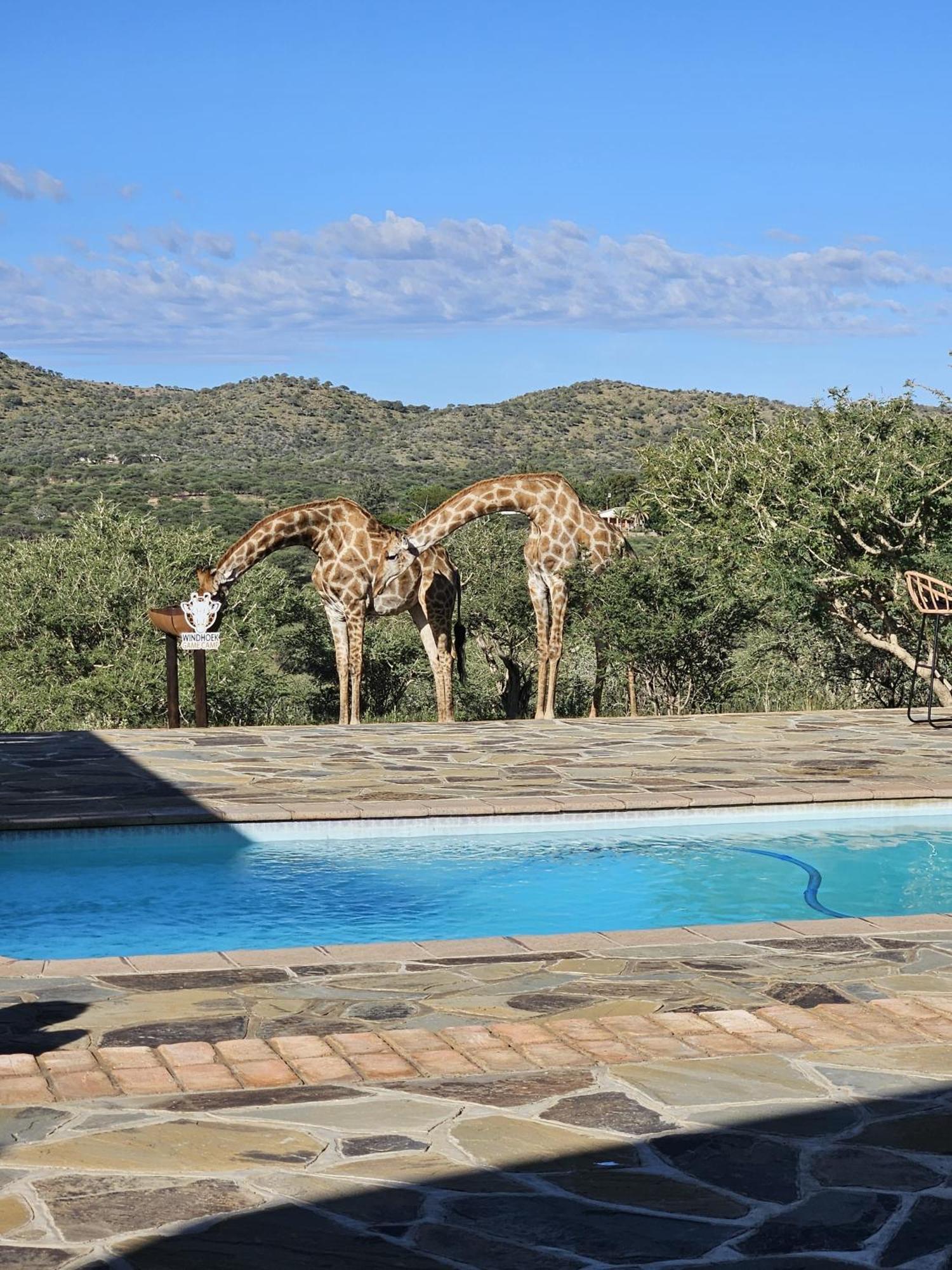 Windhoek Game Camp Lafrenz Township Bagian luar foto