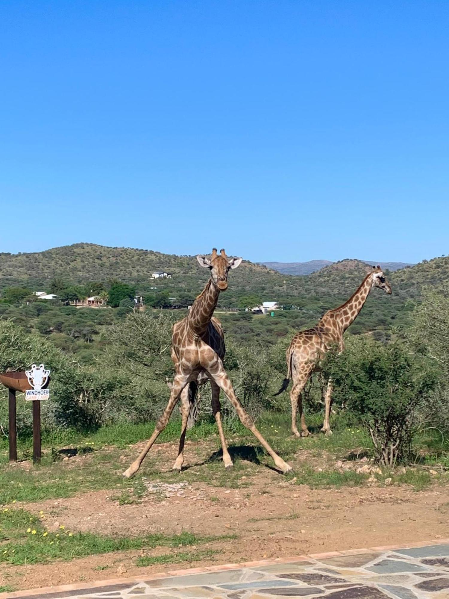 Windhoek Game Camp Lafrenz Township Bagian luar foto