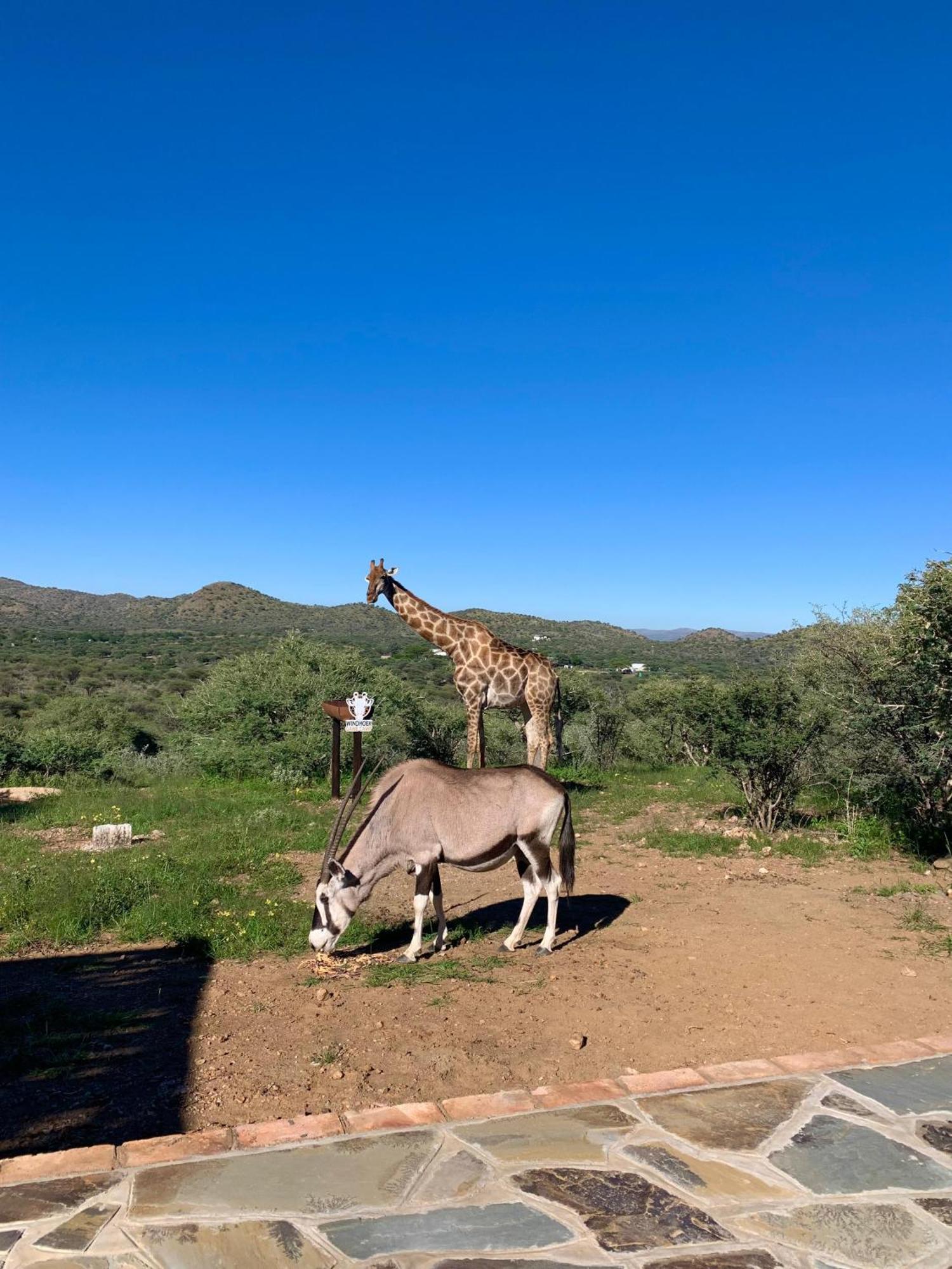 Windhoek Game Camp Lafrenz Township Bagian luar foto