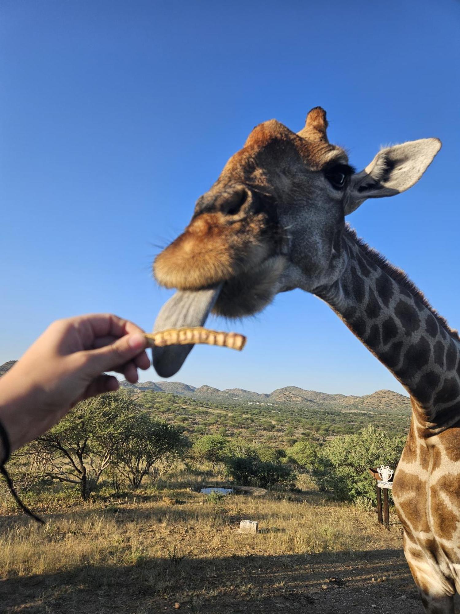 Windhoek Game Camp Lafrenz Township Bagian luar foto